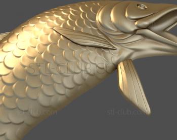 3D model Carp (STL)